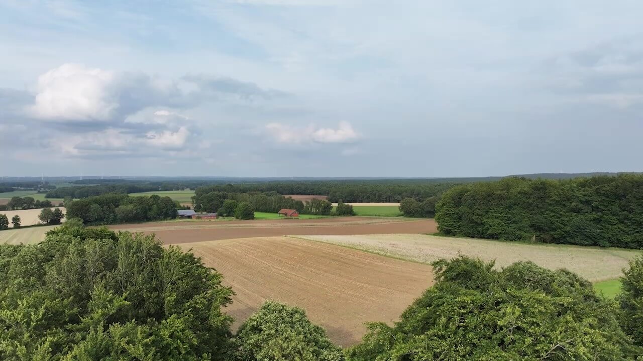 Stoppelfeld von oben