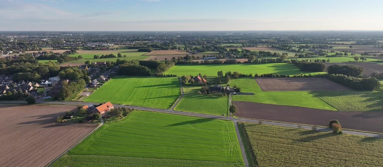 Grüne Wiesen und Felder von oben