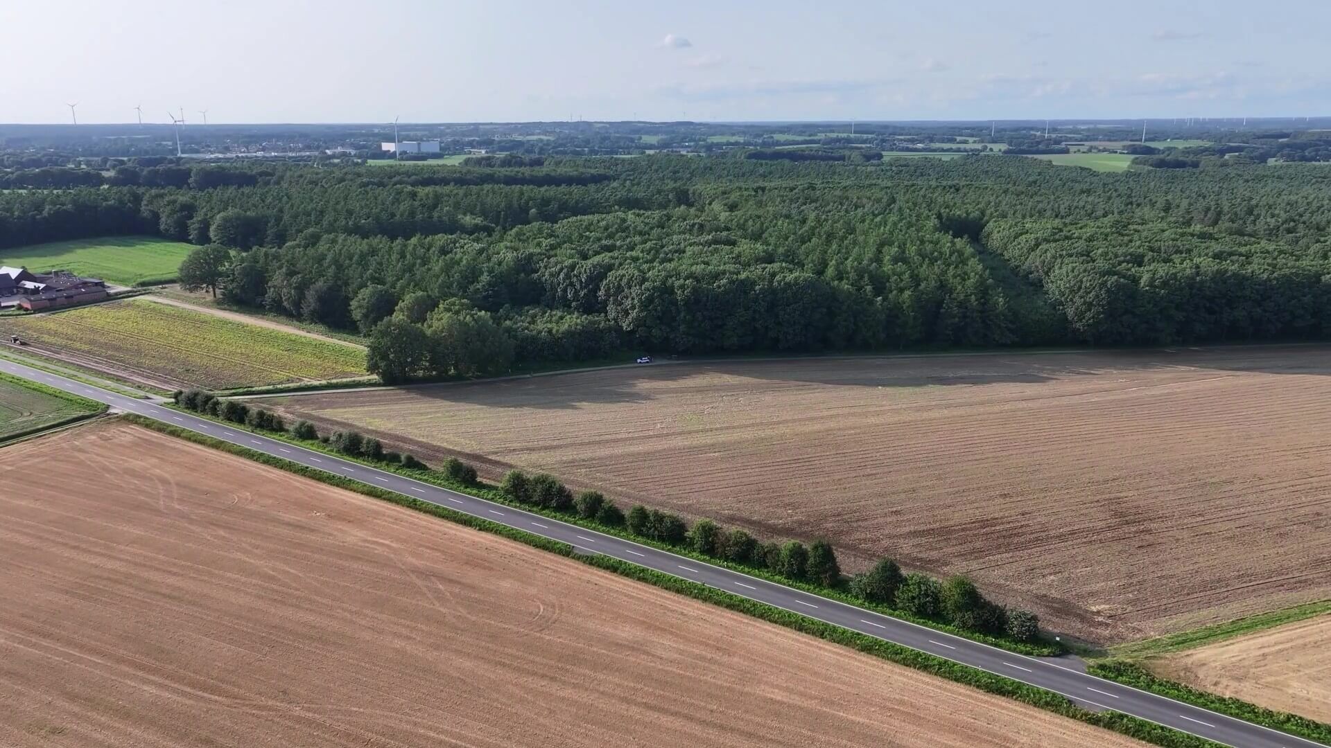 Waldrand mit Stoppelfeld